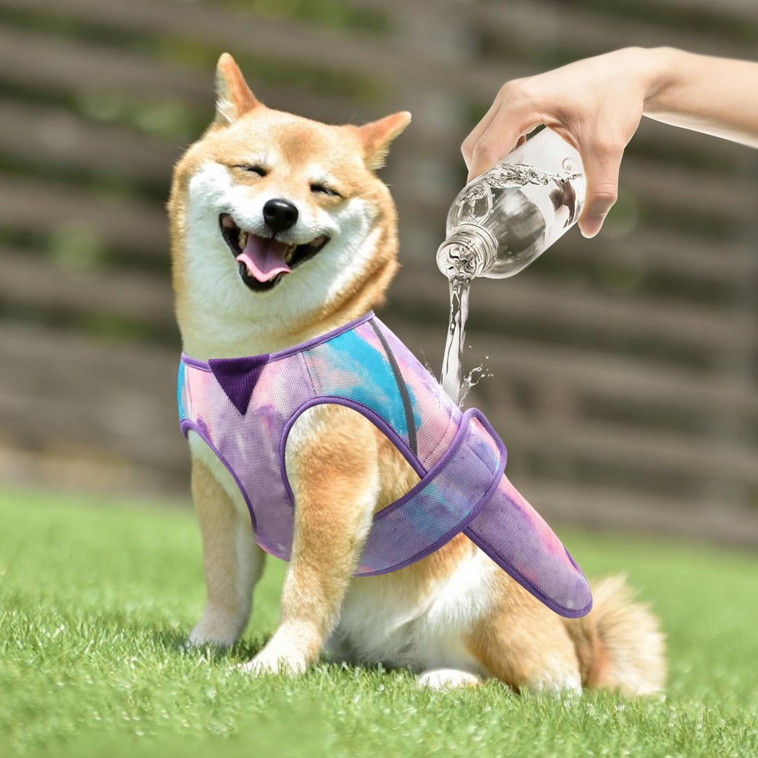 Shows the product in use outdoors with a dog being hydrated, demonstrating real-world application.