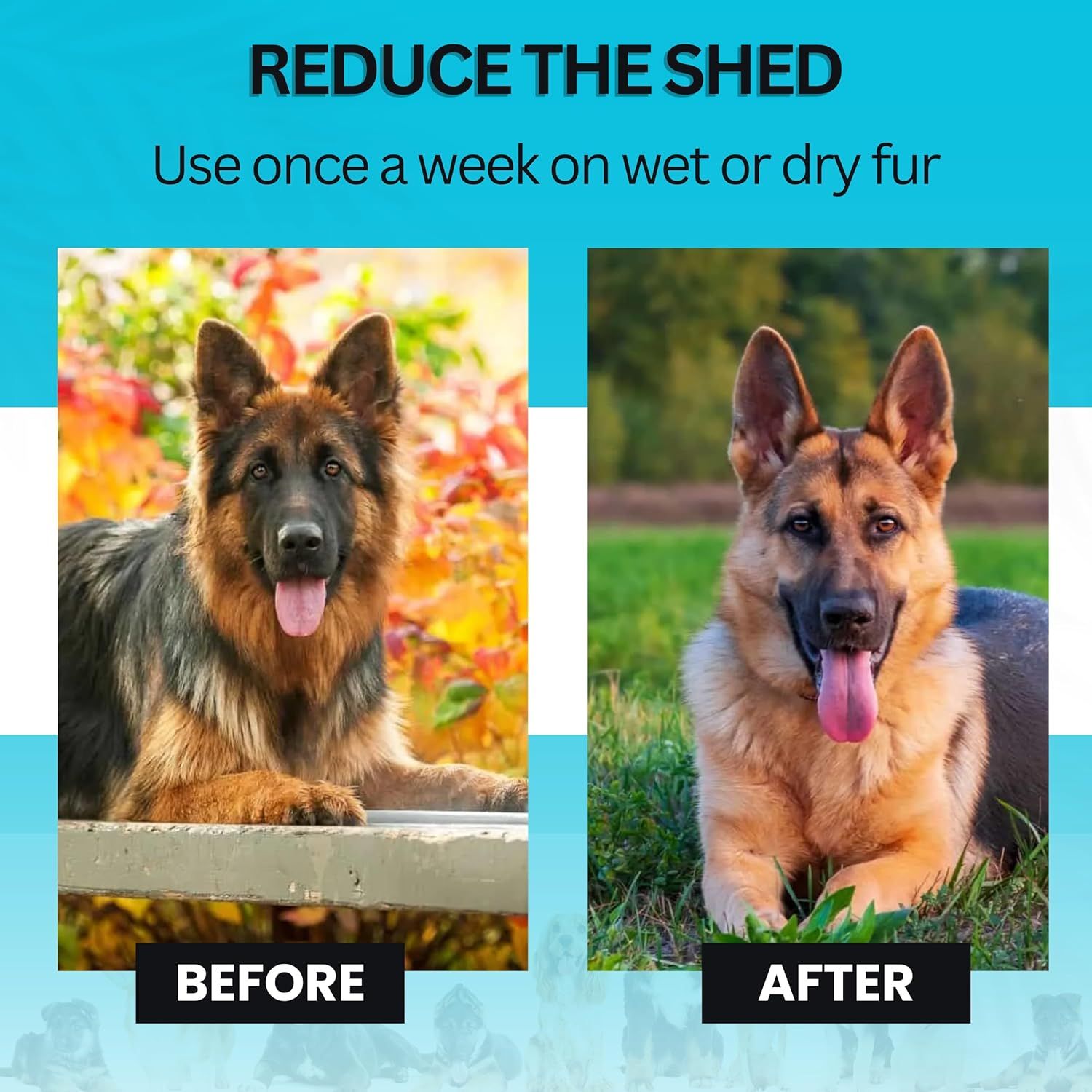 Demonstrates the effectiveness of the product by showing a visual transformation from a dog with excessive shedding to a well-groomed dog with reduced shedding.