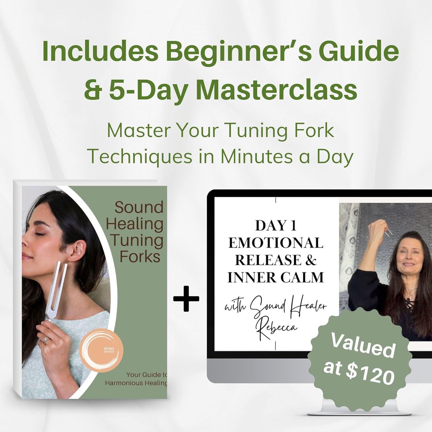 Shows that the purchase includes a beginner's guide and a 5-day masterclass valued at $120, emphasizing the added educational value and support for new users.