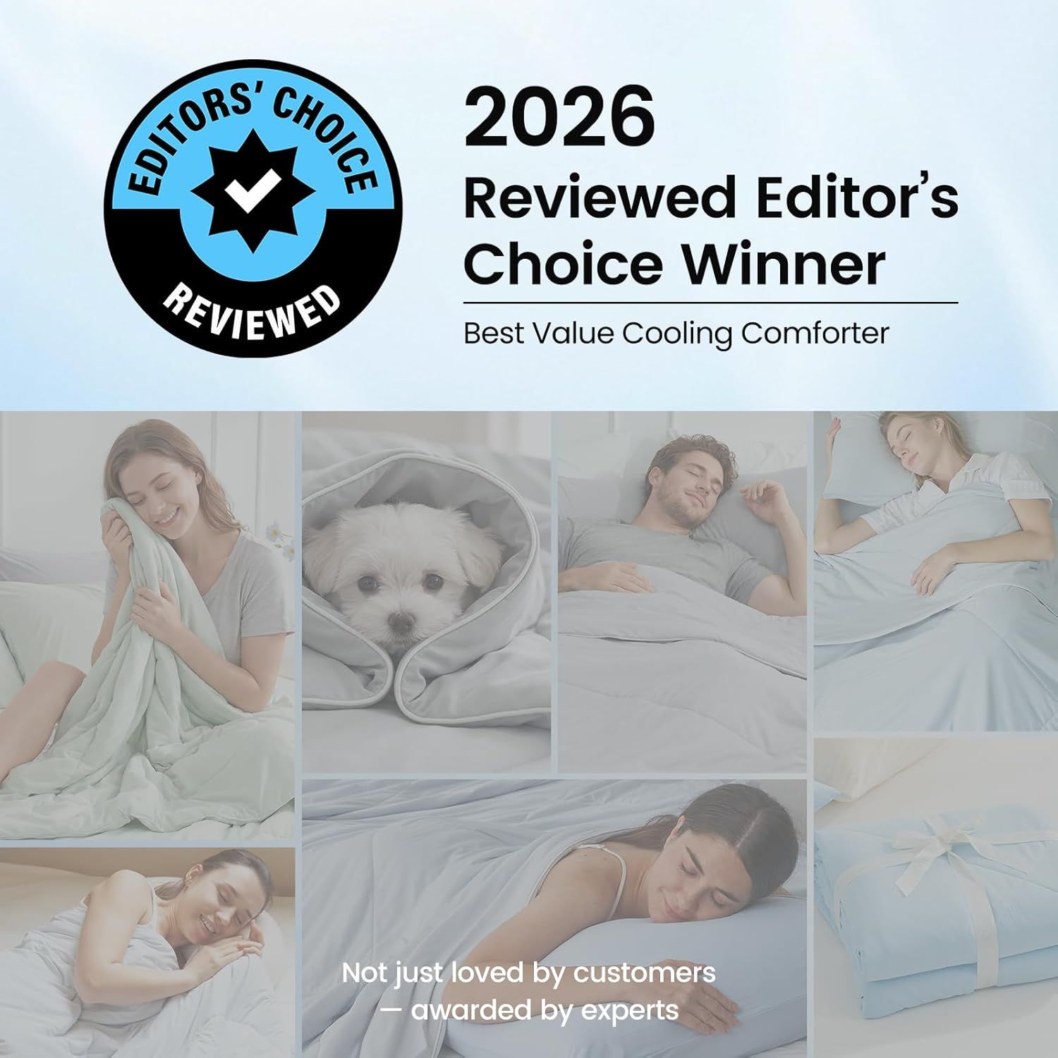 Builds credibility and trust by showcasing a third-party award from Reviewed, positioning the product as expert-validated and best-in-class for value.