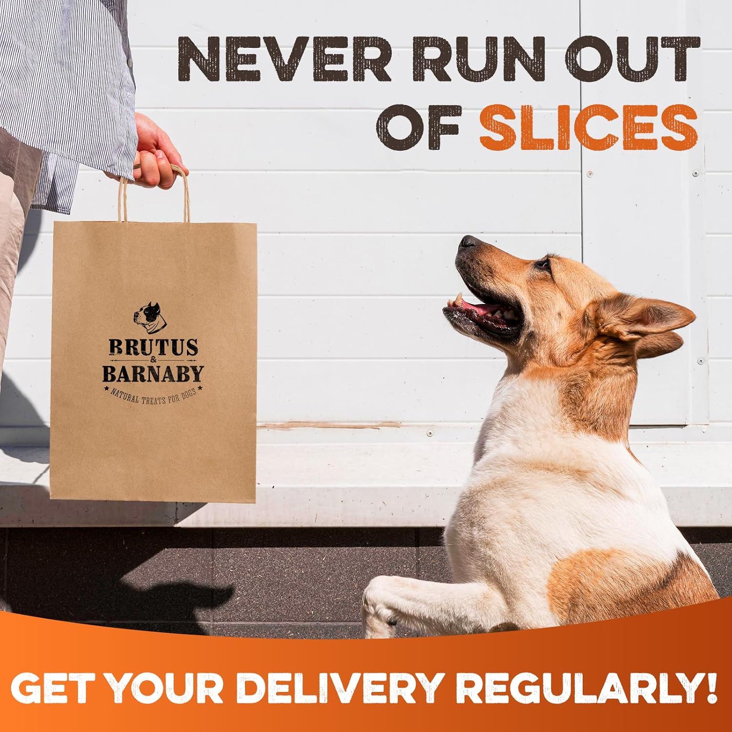 Encourages customers to set up regular deliveries so they never run out of treats, emphasizing convenience and reliability.