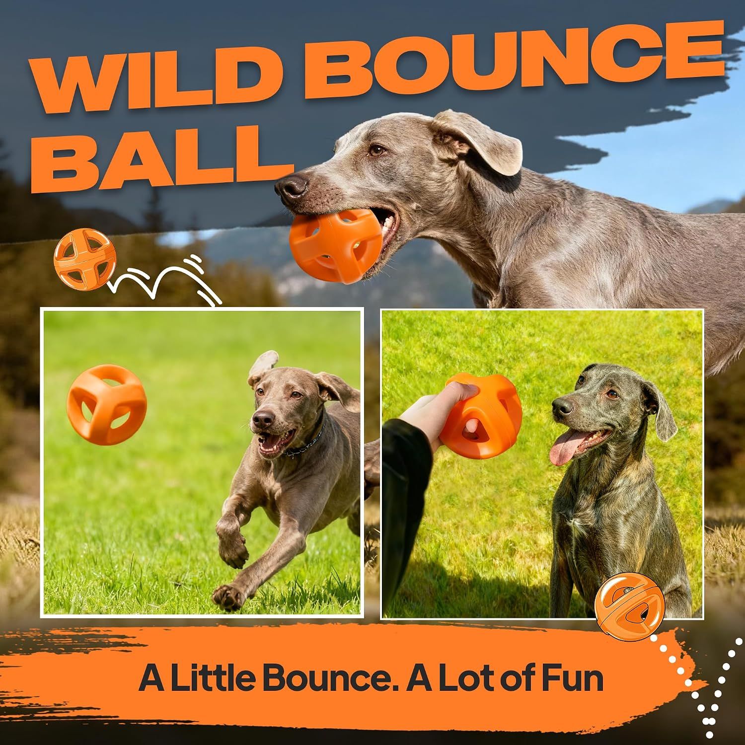 Highlights the ball's unpredictable bounce feature to communicate fun and engaging play for dogs.