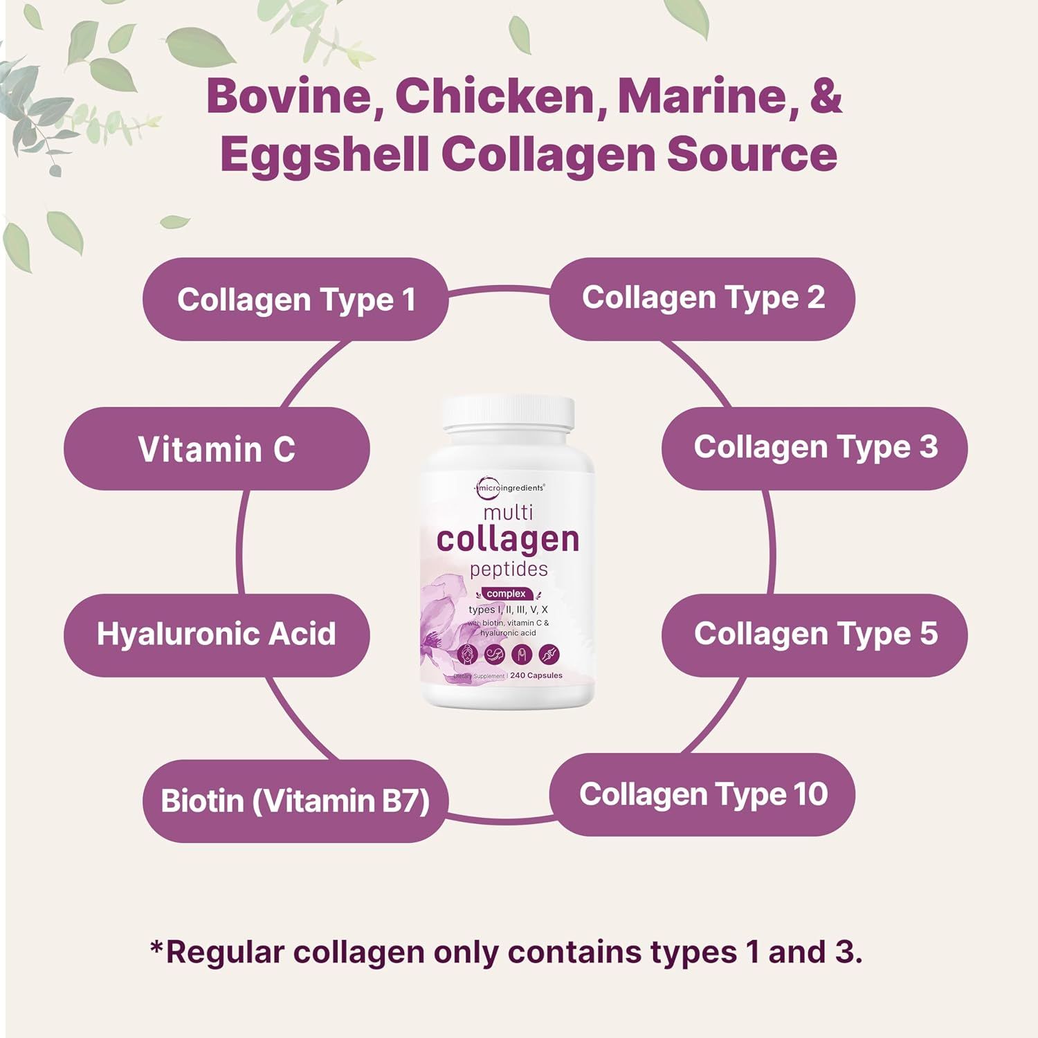 Breaks down the product's ingredient composition, showing what the supplement contains and the multiple collagen types and supporting nutrients included in the formula.