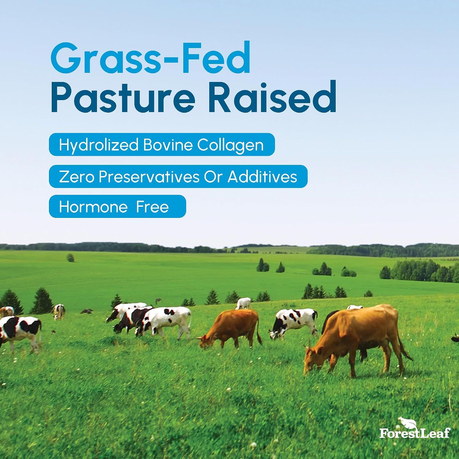 Emphasizes the premium sourcing of the collagen from grass-fed, pasture-raised cattle to communicate quality and natural origin to health-conscious shoppers.
