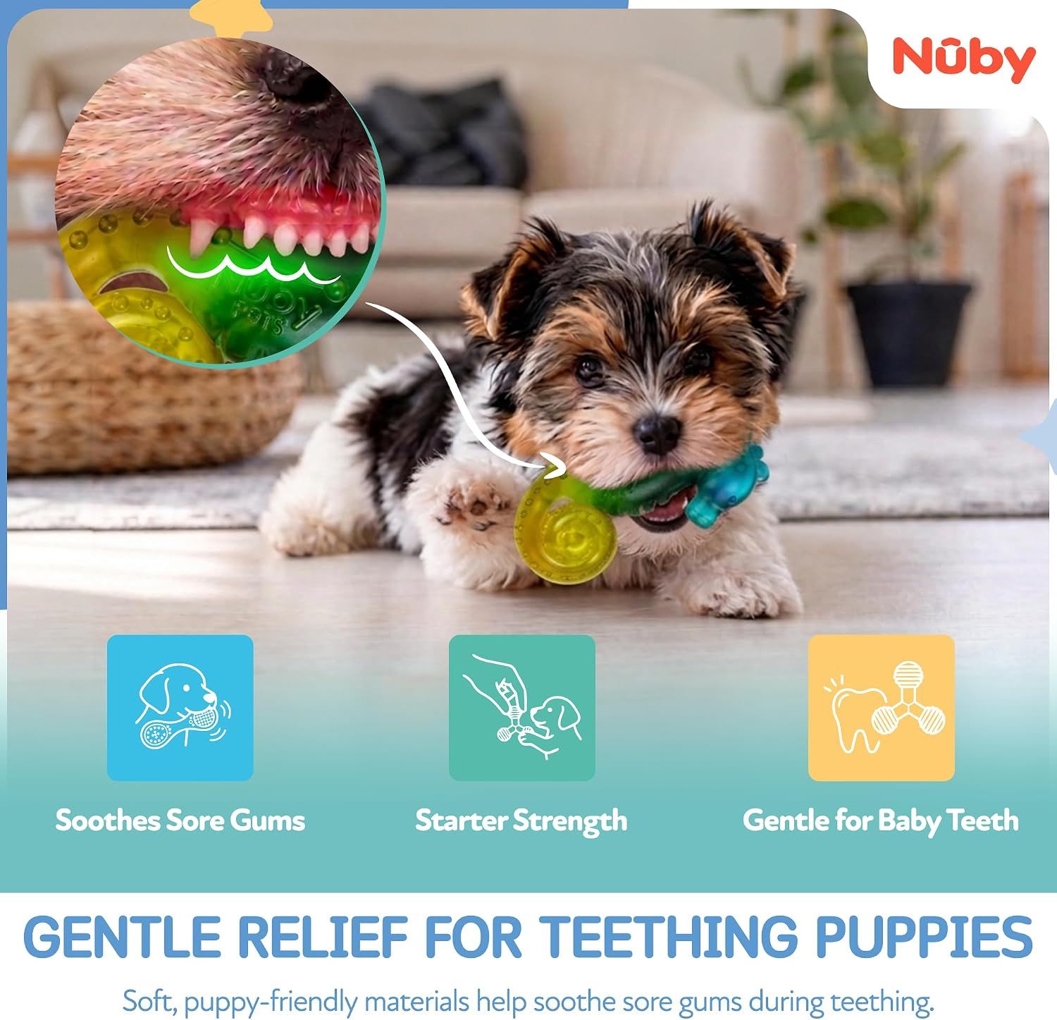 Highlights three distinct benefits of the puppy teether in a segmented layout: soothing sore gums, appropriate strength for puppies, and gentleness for baby teeth.