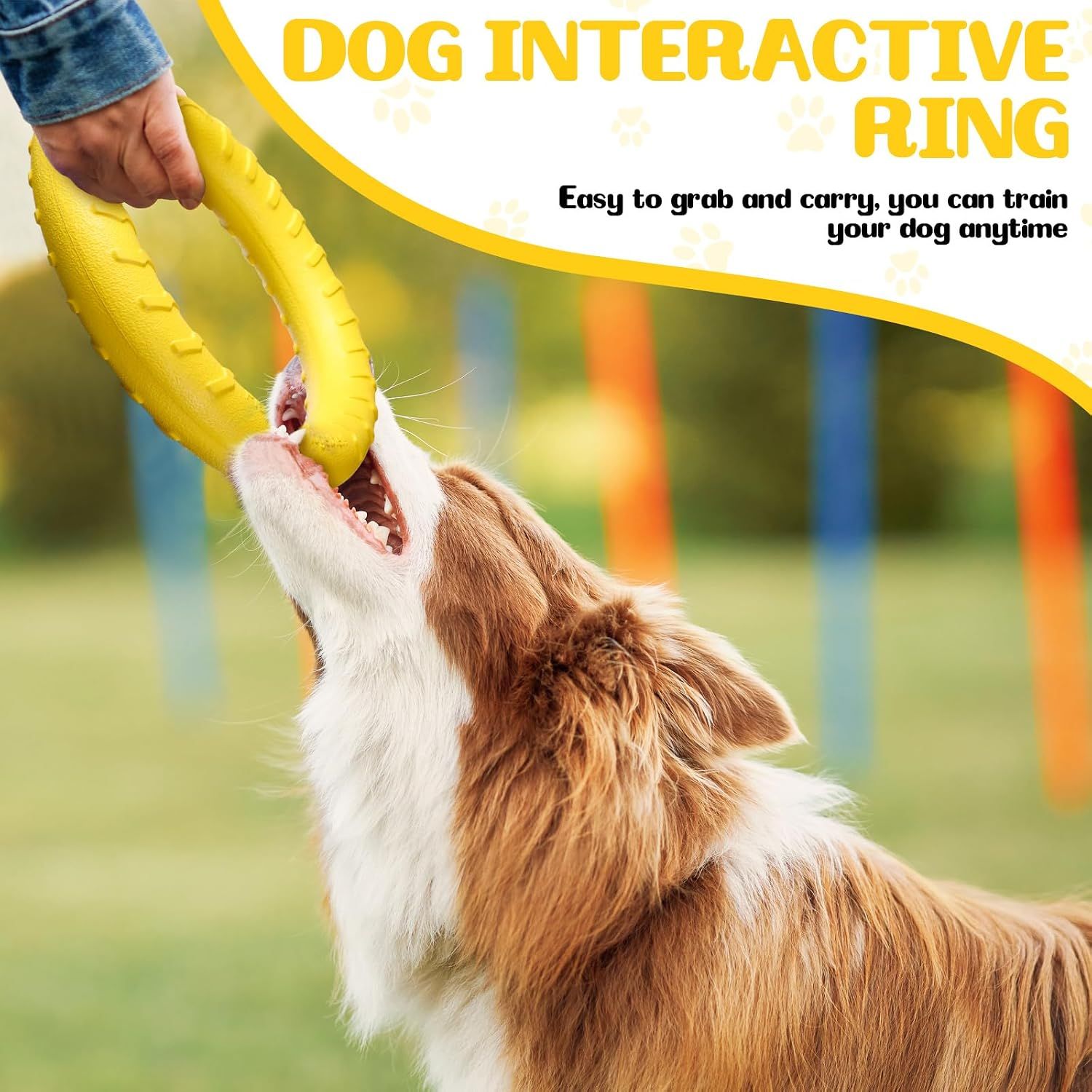 Highlights the interactive training benefit of the ring toy, emphasizing its easy-to-grab design that enables owners to train their dogs anytime.