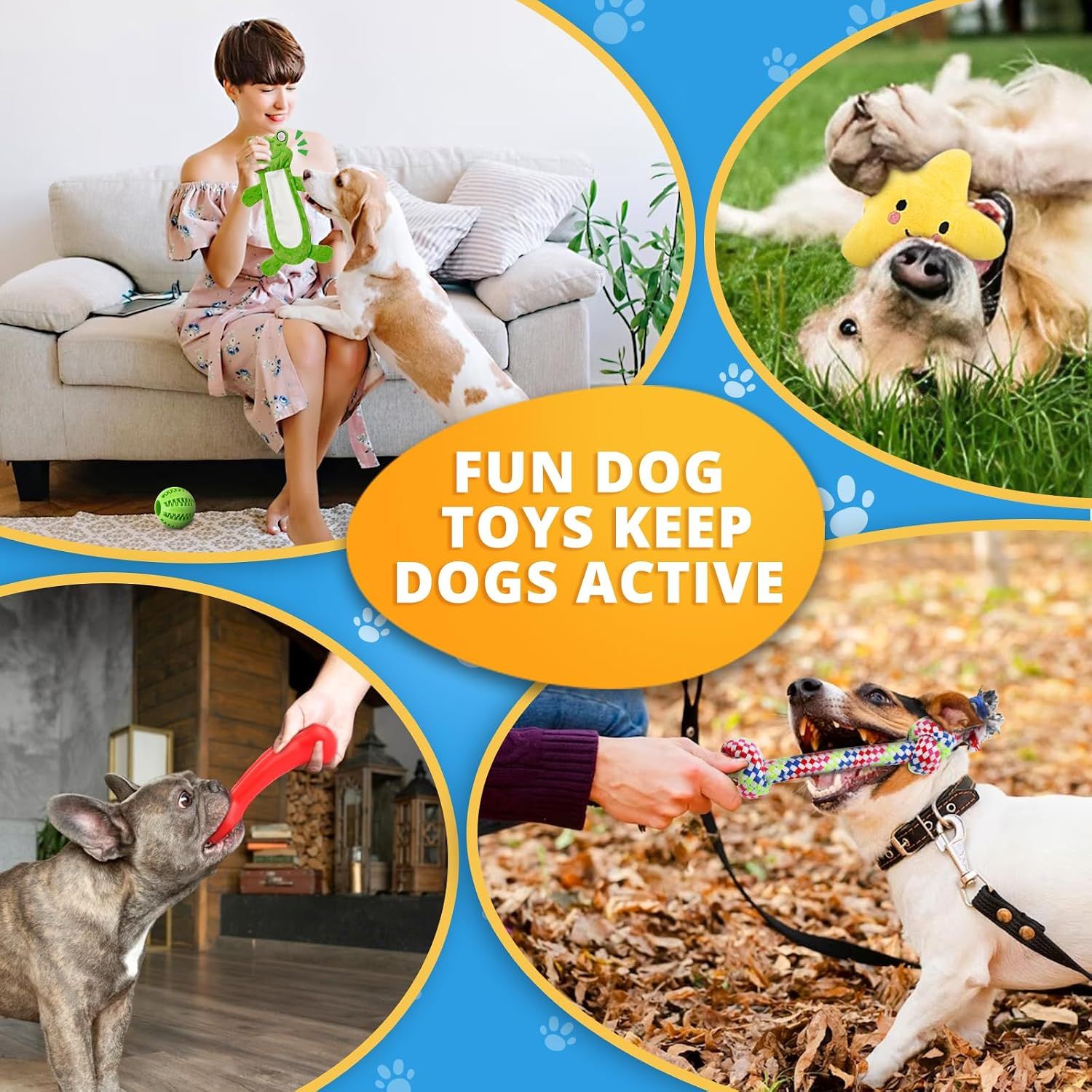 Demonstrates multiple use scenarios for the dog toys across different environments (indoor, outdoor, various settings), showing versatility and how the toys keep dogs active in different contexts.