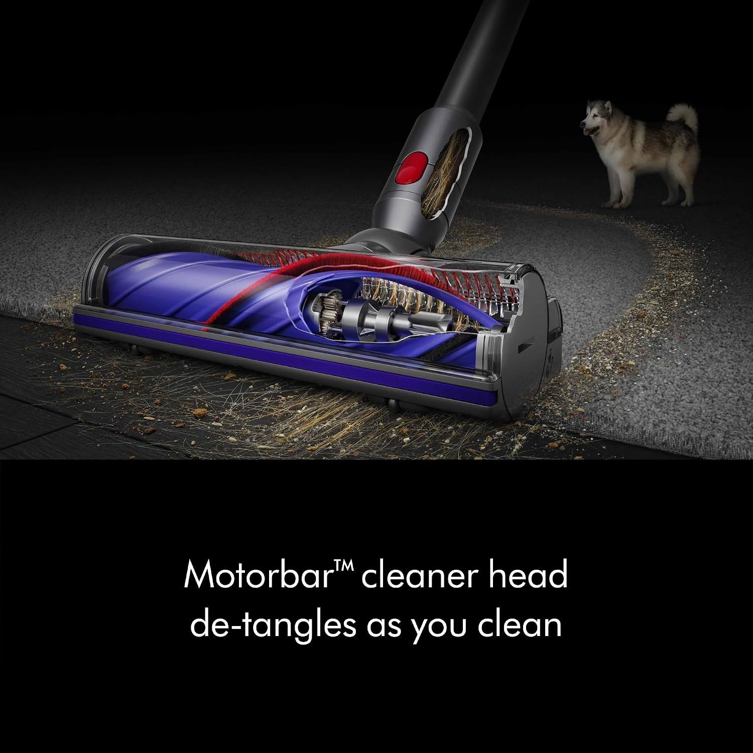 Highlights the Motorbar cleaner head feature that automatically de-tangles hair and debris as you clean, ideal for pet owners.