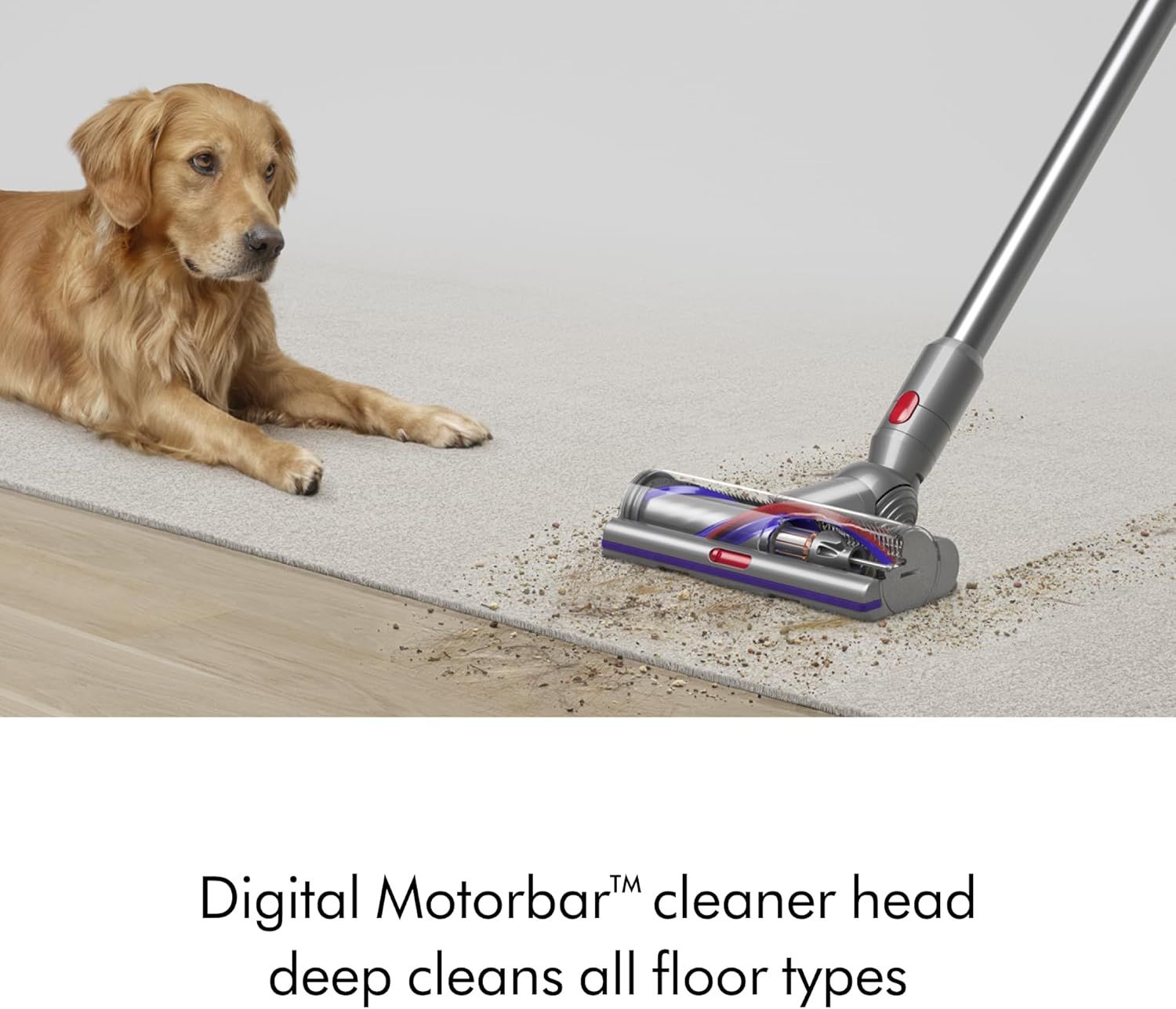 Demonstrates the Digital Motorbar cleaner head's ability to deep clean all floor types, including pet hair and debris, reassuring pet owners of its effectiveness.