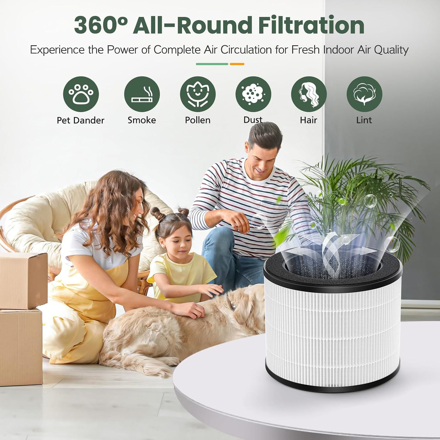 Shows the filter captures many household particles across everyday home settings. Communicates that air is cleaned in full circulation for fresher indoor air.