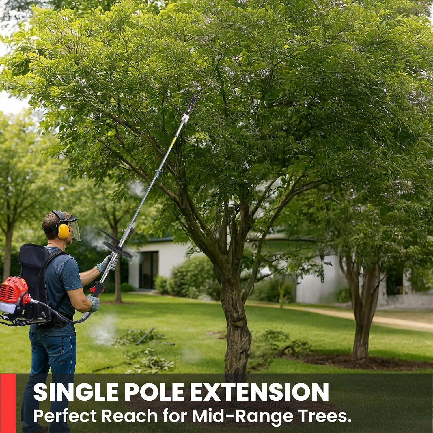 Shows the single pole extension reaching mid-height tree branches to reassure shoppers about its reach.