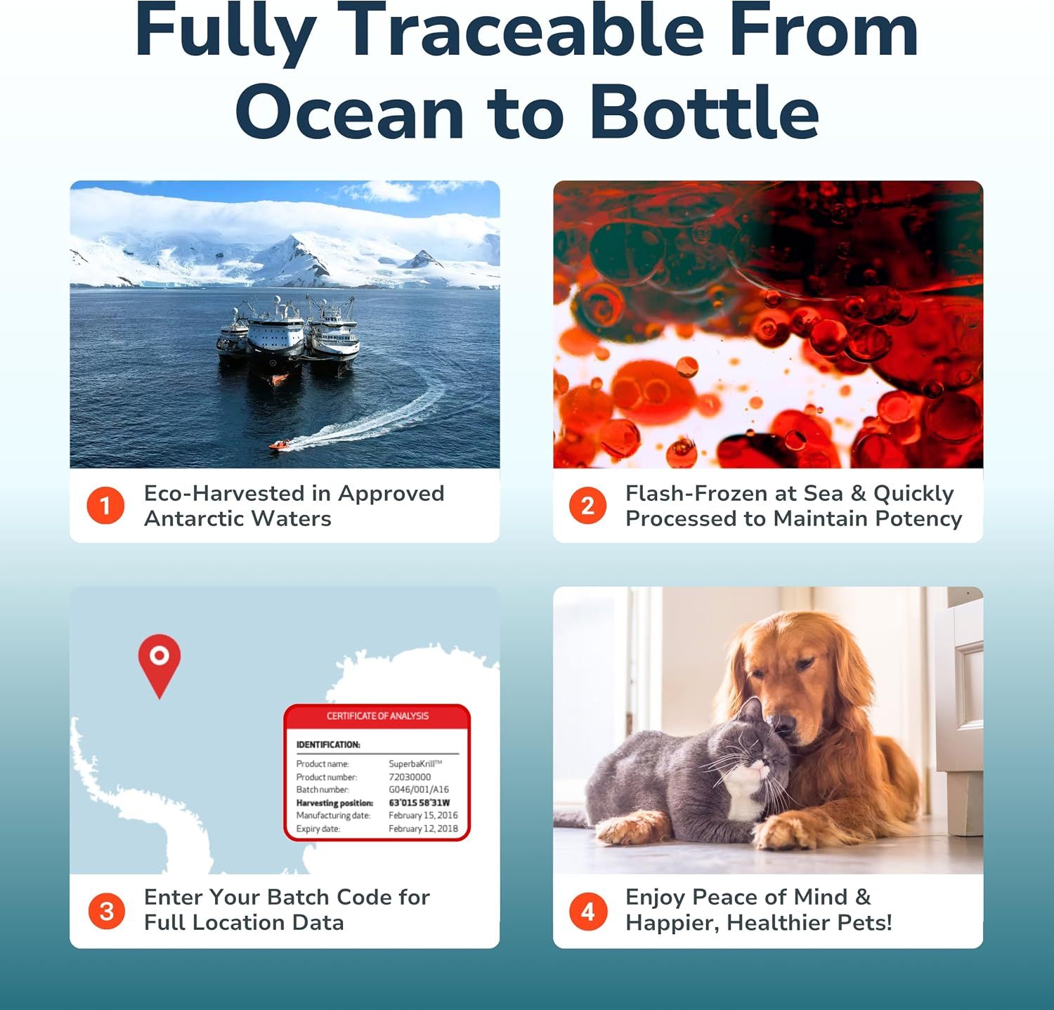 Walks shoppers through a four-step sourcing journey to prove the product is traceable and high quality. Shows the batch certificate of analysis as a traceability detail.