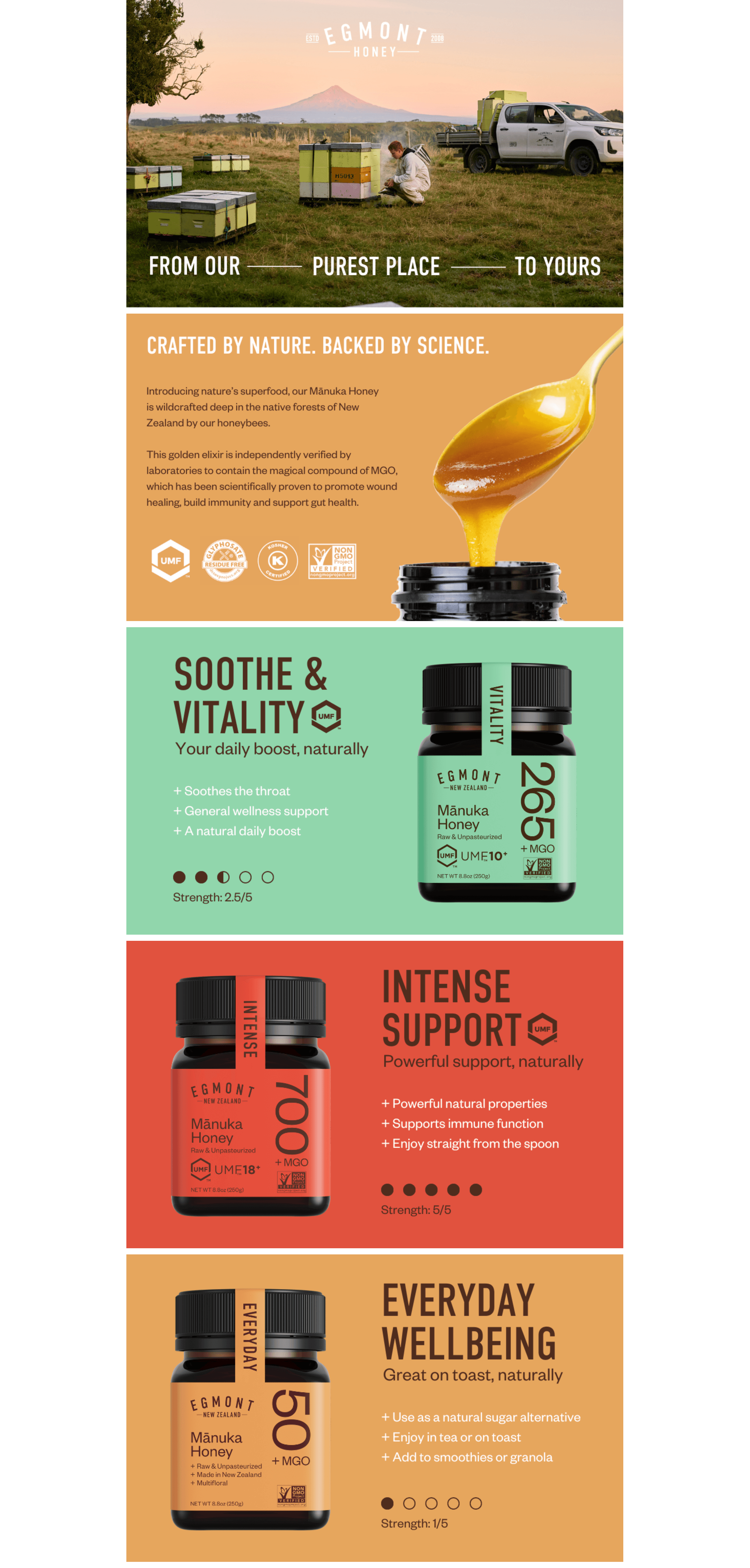 Premium A+ Content for Amazon.com : Egmont Honey Raw Manuka Honey MGO 265+ UMF 10+ 8.8oz(250g) NON-GMO