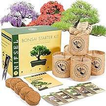 Main Images for Amazon.com : kit
