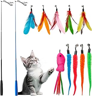 Main Images for Amazon.de : katzenangel