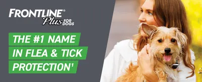 Positions Frontline Plus as the top name in flea and tick protection to build shopper trust.