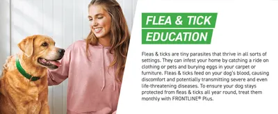 Explains why fleas and ticks are a risk and positions FRONTLINE Plus as the monthly protection, building trust in the brand.