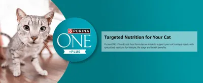 Introduces the Purina ONE brand and its promise of tailored nutrition formulas to build trust before showing specific product lines.