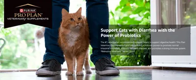 Introduces the brand and highlights that FortiFlora's probiotics support digestive health in cats with diarrhea.