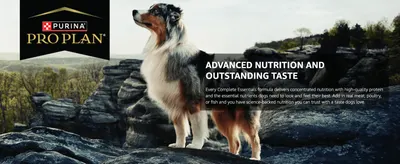 Communicates that the formula delivers concentrated, science-backed nutrition and great taste dogs love.