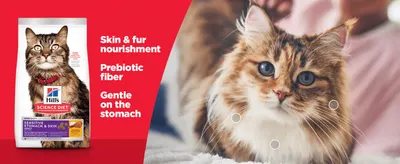 Lists three key cat food benefits beside the product bag and a happy cat, reassuring owners the formula is gentle and nourishing.