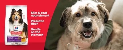 Lists three key dog food benefits beside the product bag and a happy dog, reassuring owners the formula is gentle and nourishing.
