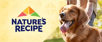 Introduces the brand name and logo alongside a warm lifestyle image of a happy dog to build brand recognition.