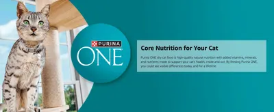 Introduces the Purina ONE brand alongside a core nutrition claim to build trust with cat owners. Communicates that the food supports the cat's overall health with quality ingredients.