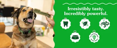 Highlights five distinct benefits (dental cleaning, natural ingredients, freshening, portion control, vet recommendation) via icon callouts.