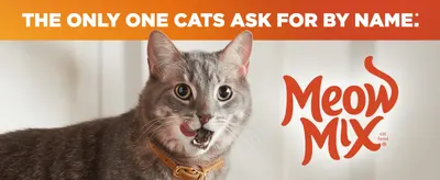 Builds brand recall and preference by pairing a bold tagline with the Meow Mix logo and an engaged cat.