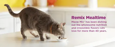 Reinforces trust by highlighting the brand's 40+ year legacy of quality nutrition and taste. Uses a warm lifestyle scene to reassure shoppers the food is both nutritious and appealing to cats.