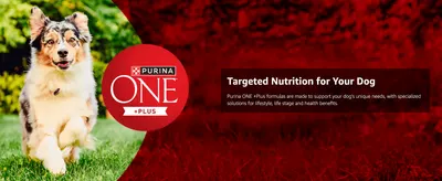 Introduces the Purina ONE +Plus brand and its promise of targeted nutrition tailored to each dog's needs.