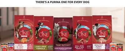 Shows the full range of Purina ONE dog food formulas side by side so shoppers can find the variant suited to their dog's life stage and needs.