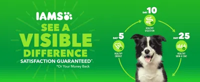 Reassures shoppers that IAMS delivers visible, guaranteed health improvements at specific days of feeding.