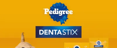 Introduces the Pedigree DentaStix brand and product line with bold logo treatment before the shopper scrolls into feature detail.