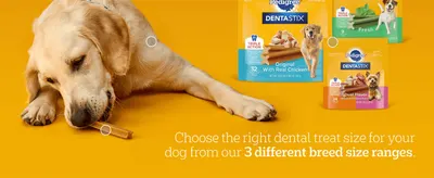Helps shoppers pick the correctly sized DentaStix variant for their dog's breed from the three size ranges offered.