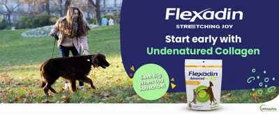 Presents the Flexadin brand and its tagline with a lifestyle scene to build trust and familiarity. Highlights undenatured collagen as the key ingredient and promotes a subscribe-and-save offer.