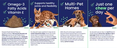 Explains four separate benefits in segmented panels so shoppers see why one chew suits dogs and cats.