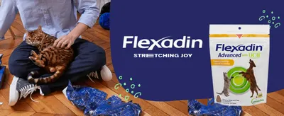 Reinforces the Flexadin brand and its Stretching Joy message with a warm pet lifestyle photo. Shows a relaxed home scene with a cat to connect the product with a caring pet owner.