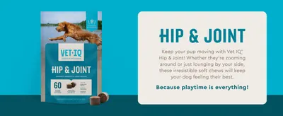 Introduces the hero product and its core benefit, keeping dogs mobile and playful with joint support soft chews.