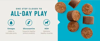 Breaks down the three key active ingredients and the specific joint/muscle benefit each one delivers.