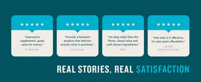 Builds social proof and trust by showcasing real 5-star customer quotes about product satisfaction.