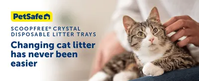 Introduces the PetSafe brand and promises that changing cat litter is easy. Frames the litter trays around one simple benefit to hook the shopper.
