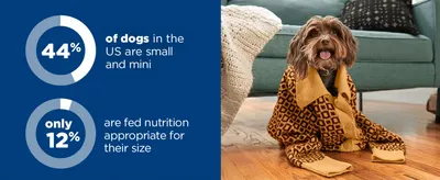 Uses population stats to highlight a nutrition gap for small dogs, positioning the product as the size-appropriate solution.