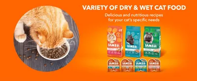 Shows the dry and wet recipe lineup so shoppers see the brand covers their cat's needs.