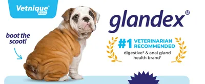 Introduces the Glandex brand and builds trust via a #1 veterinarian-recommended credential for digestive and anal gland health.
