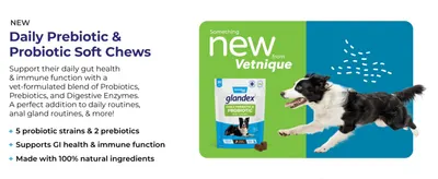 Introduces a new soft chew product and highlights its distinct benefits (probiotic blend, GI/immune support, natural ingredients) to drive trial.