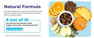 Uses a survey statistic to build confidence that Glandex effectively supports anal gland health. Highlights that the chews are made with natural, clinically proven ingredients for digestive and…