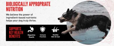 Highlights three distinct health benefits (digestive, immune, skin & coat) supported by biologically appropriate nutrition.