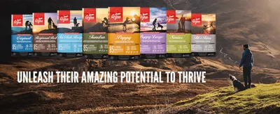 Shows the full range of ORIJEN product variants side by side to help shoppers find the right formula for their dog.